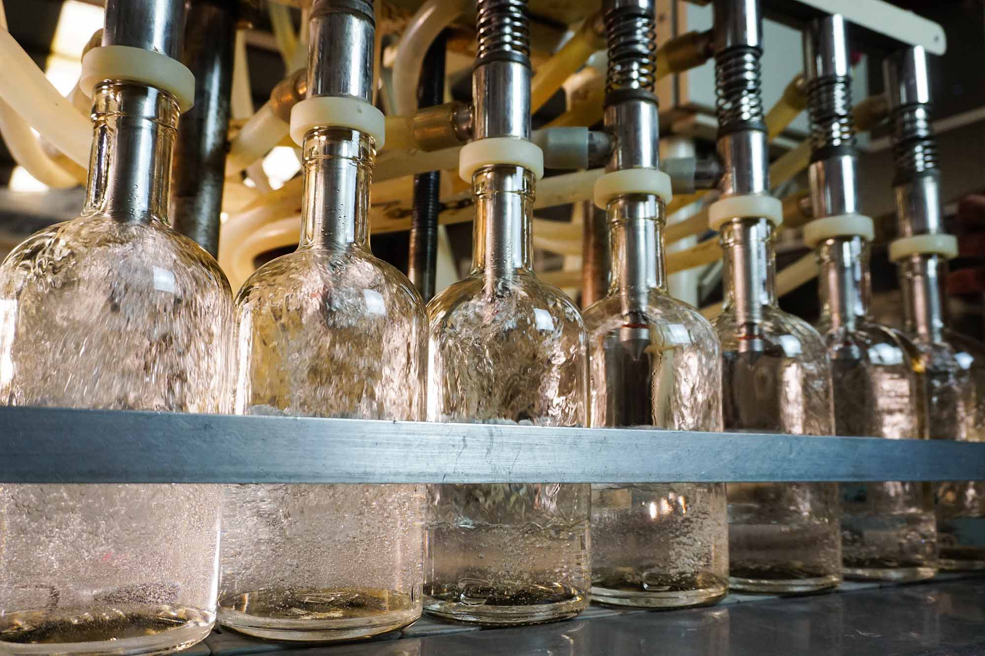 OAXACA - PART 2 - EXPLORING AMIGOS AOTEAROA’S PRODUCTION FACILITIES